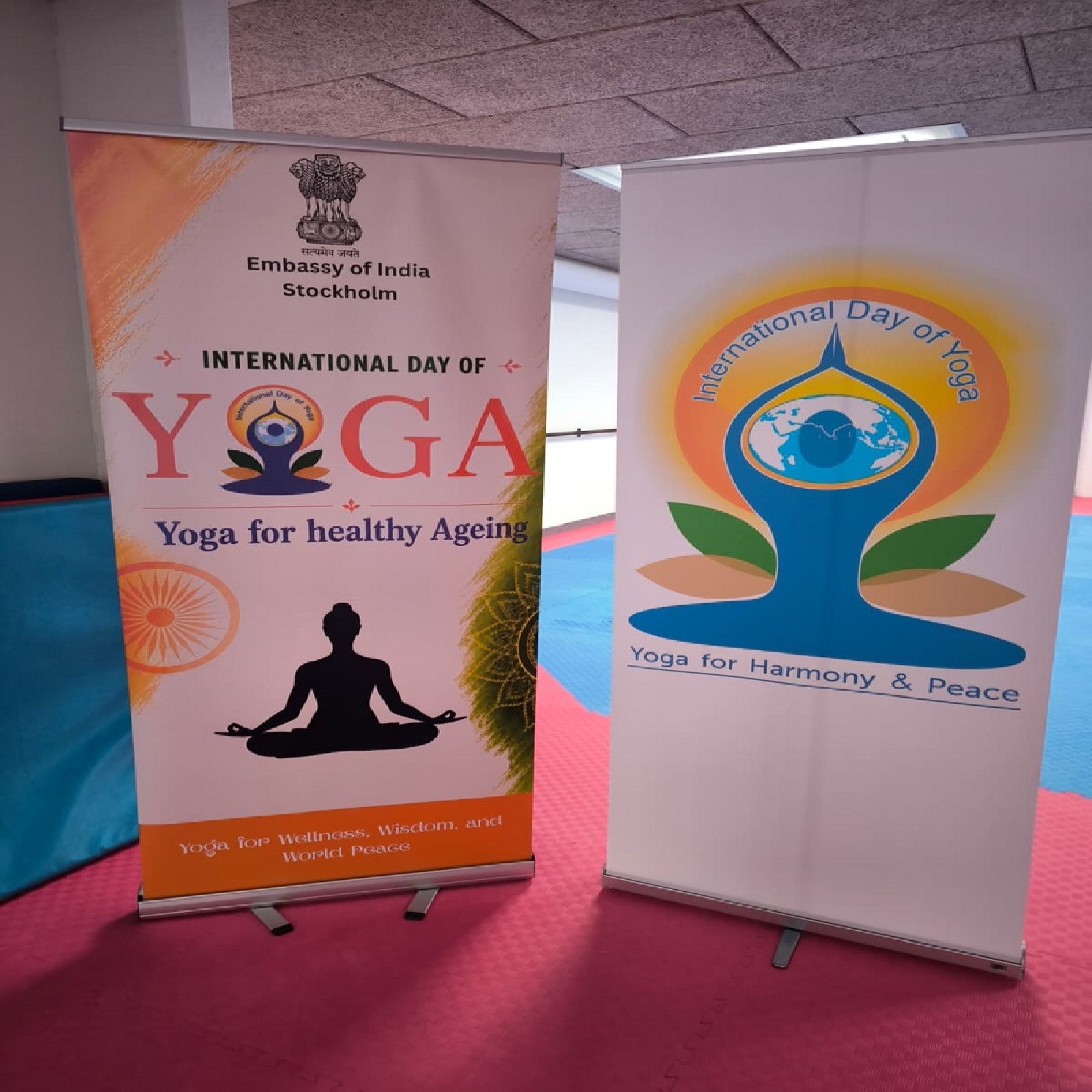 International Day of Yoga celebrations - Dalarna