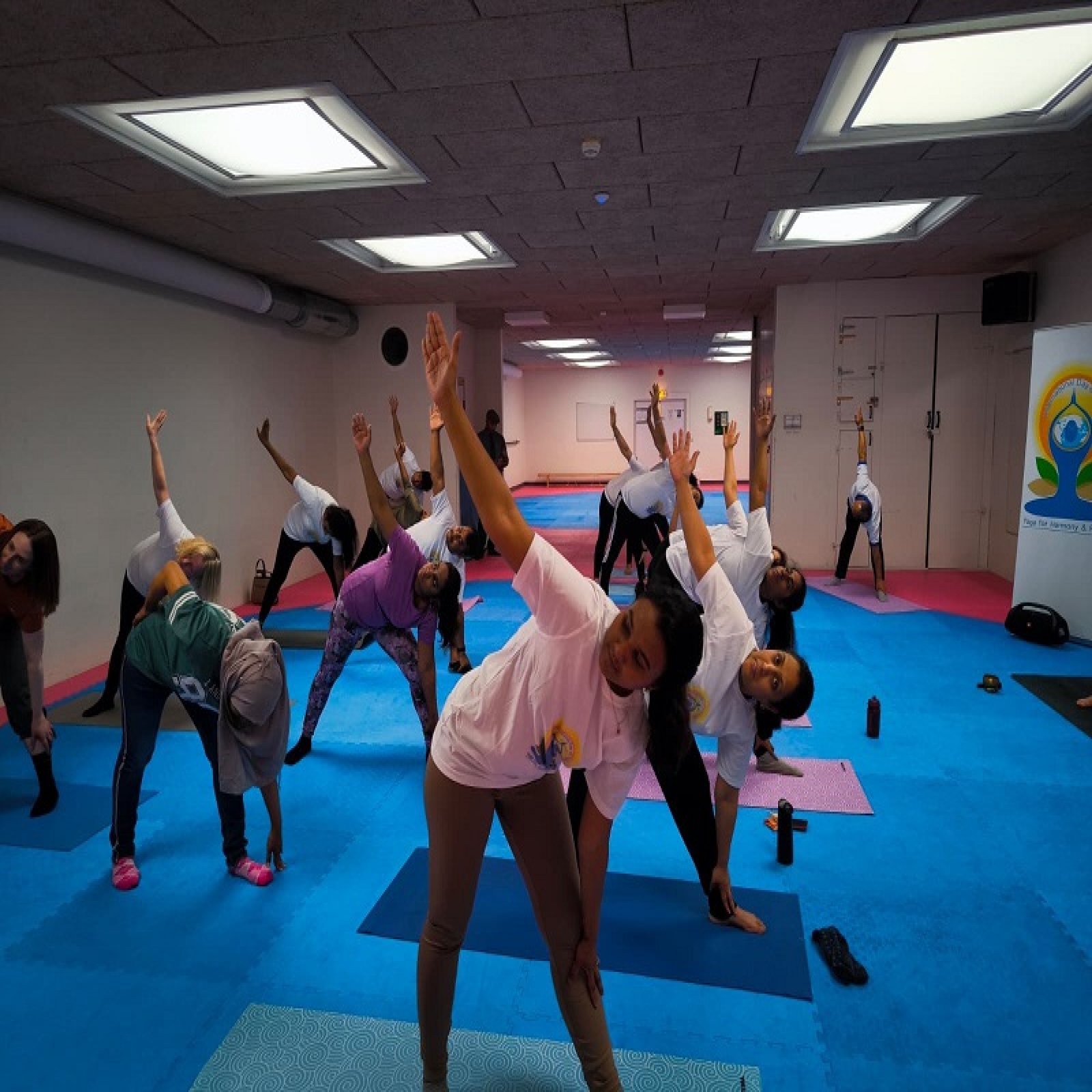 International Day of Yoga celebrations - Dalarna