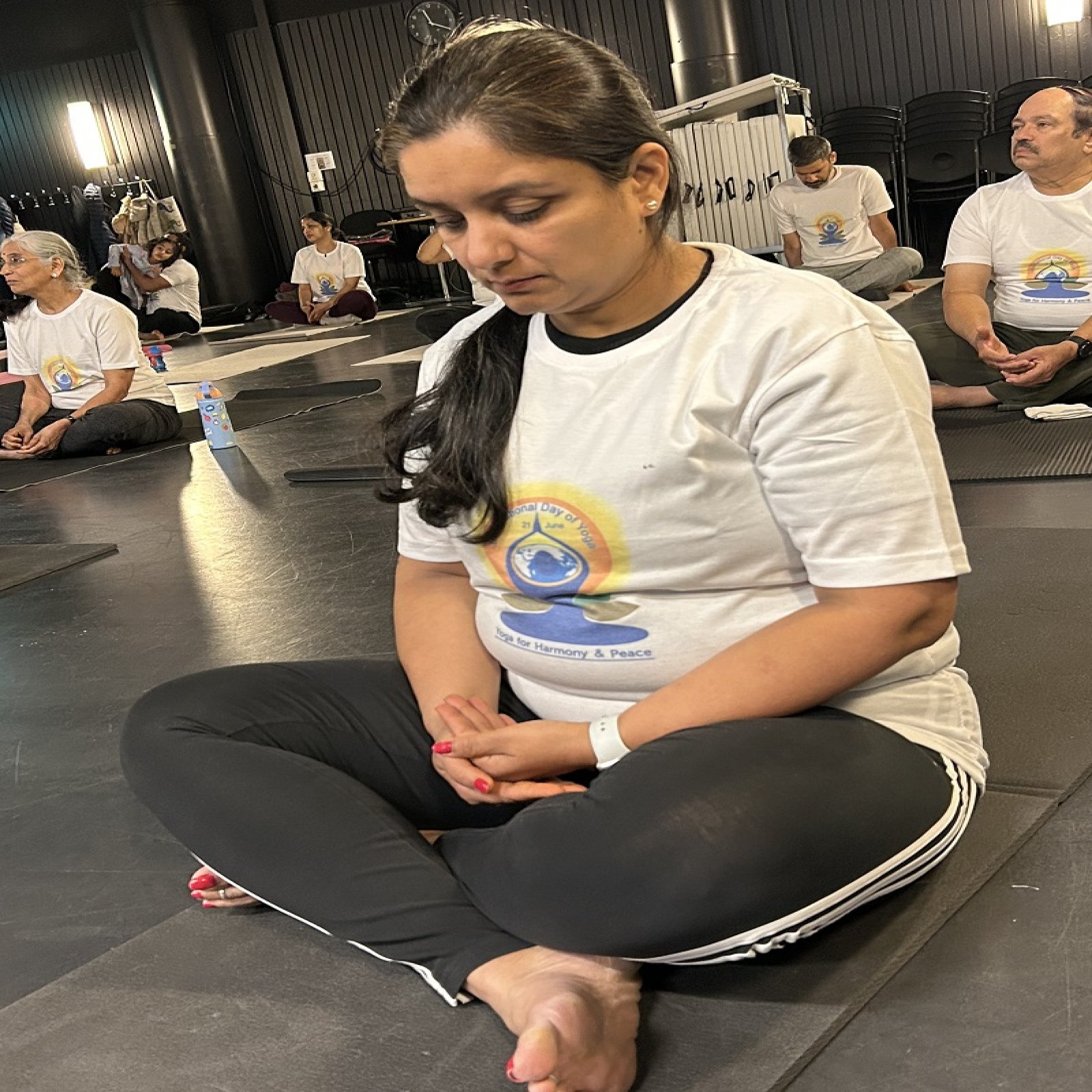 International Day of Yoga celebrations - Malmö