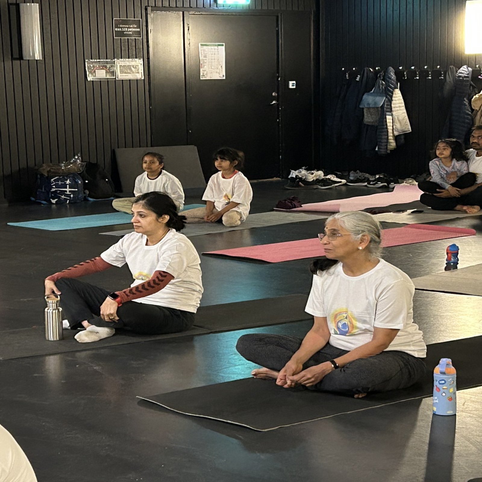 International Day of Yoga celebrations - Malmö