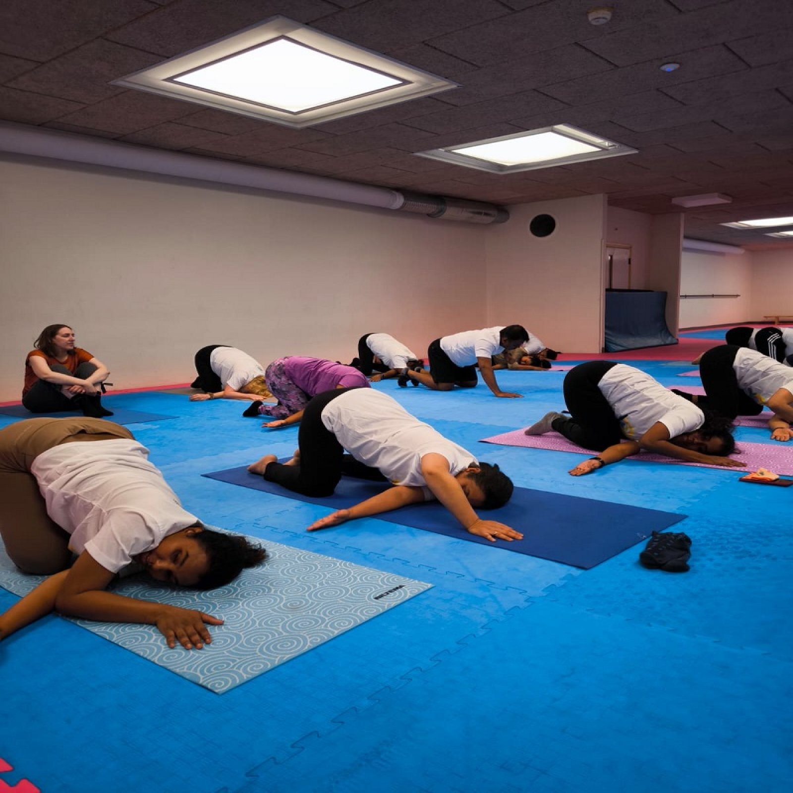 International Day of Yoga celebrations - Dalarna