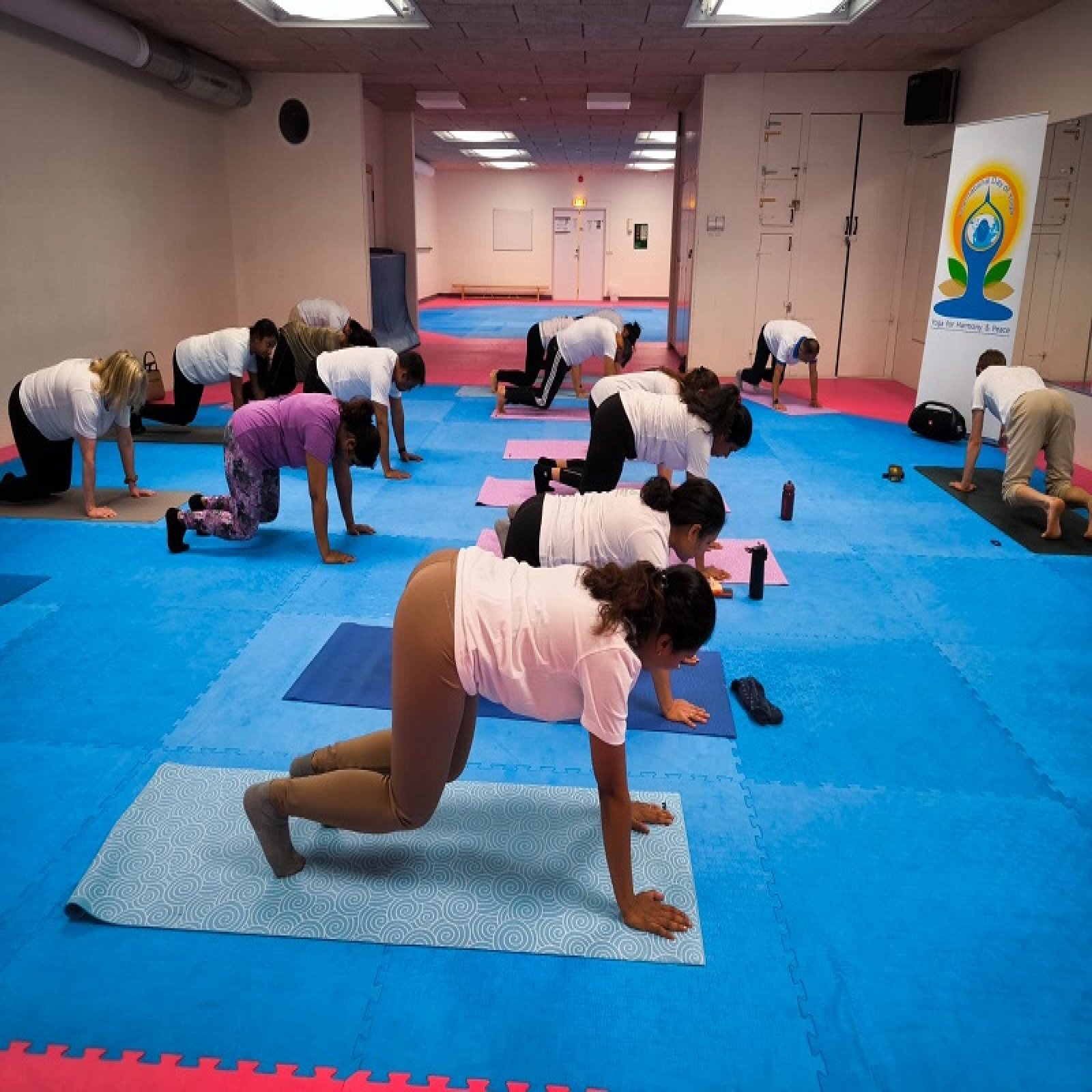 International Day of Yoga celebrations - Dalarna