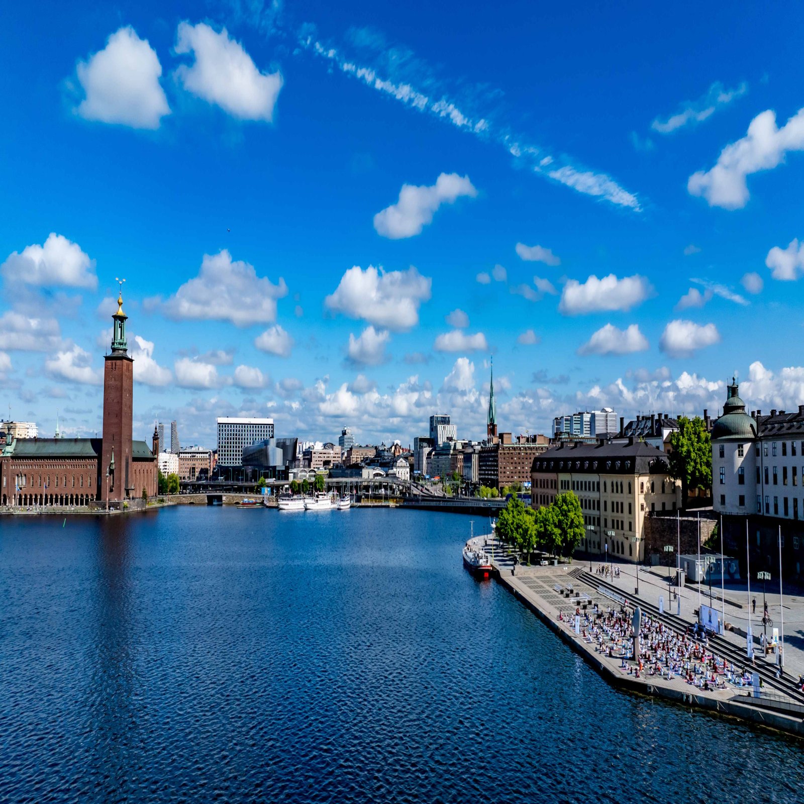 International Day of Yoga celebrations - Stockholm