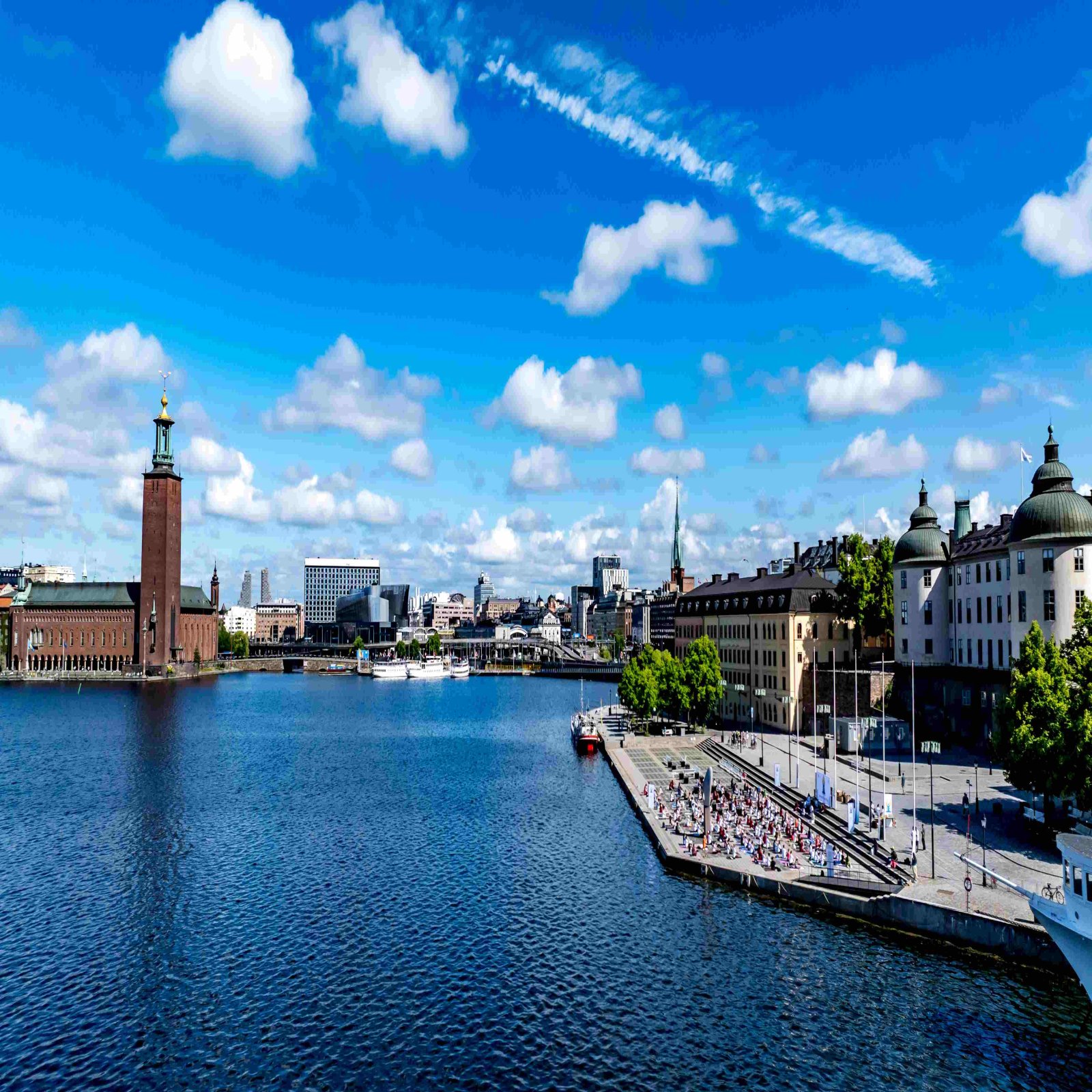International Day of Yoga celebrations - Stockholm