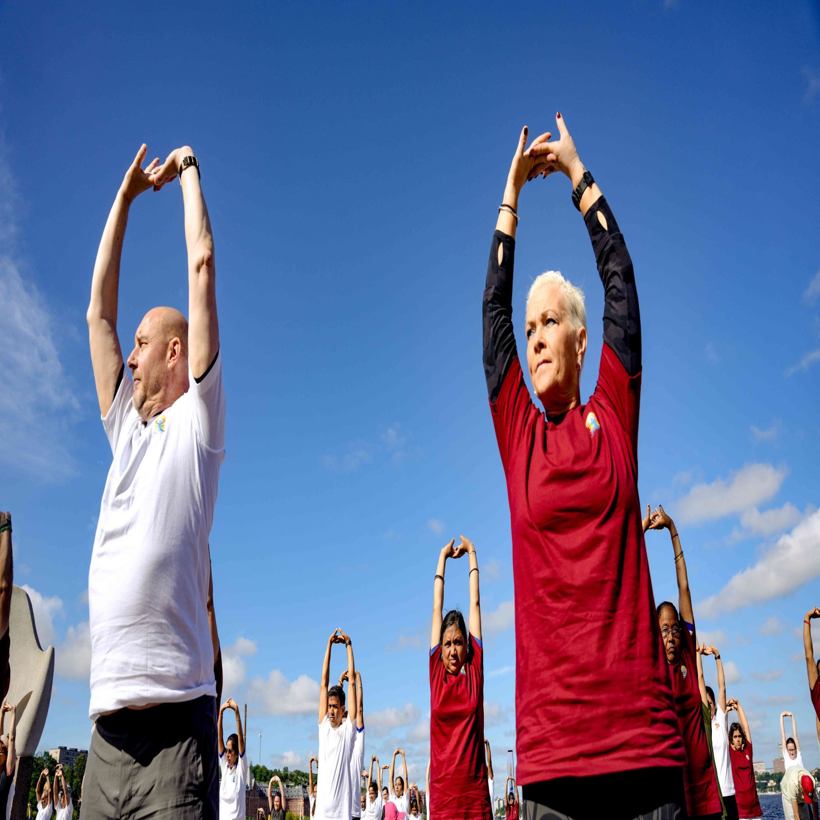 International Day of Yoga celebrations - Stockholm
