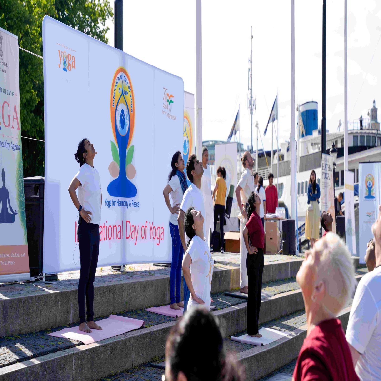 International Day of Yoga celebrations - Stockholm