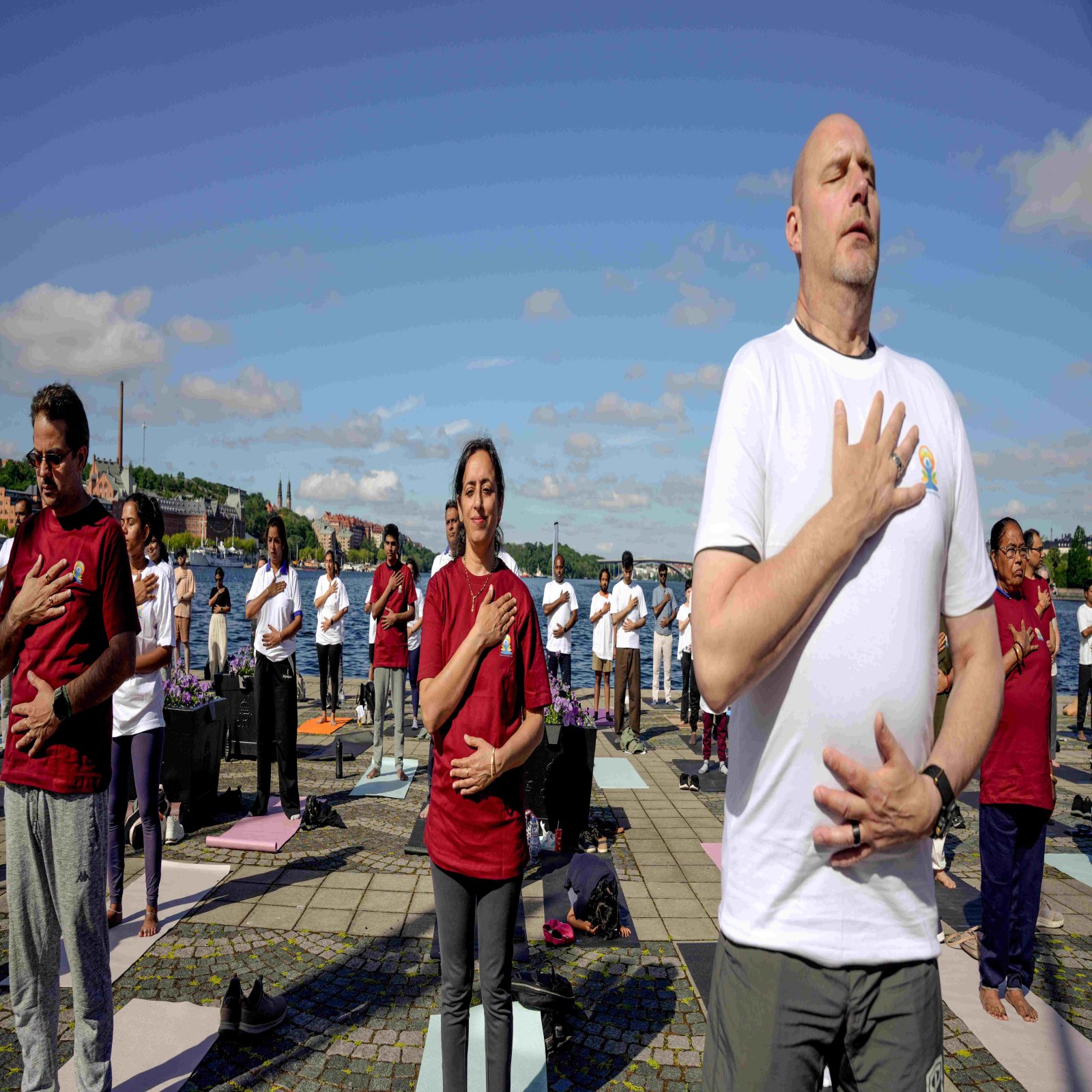 International Day of Yoga celebrations - Stockholm