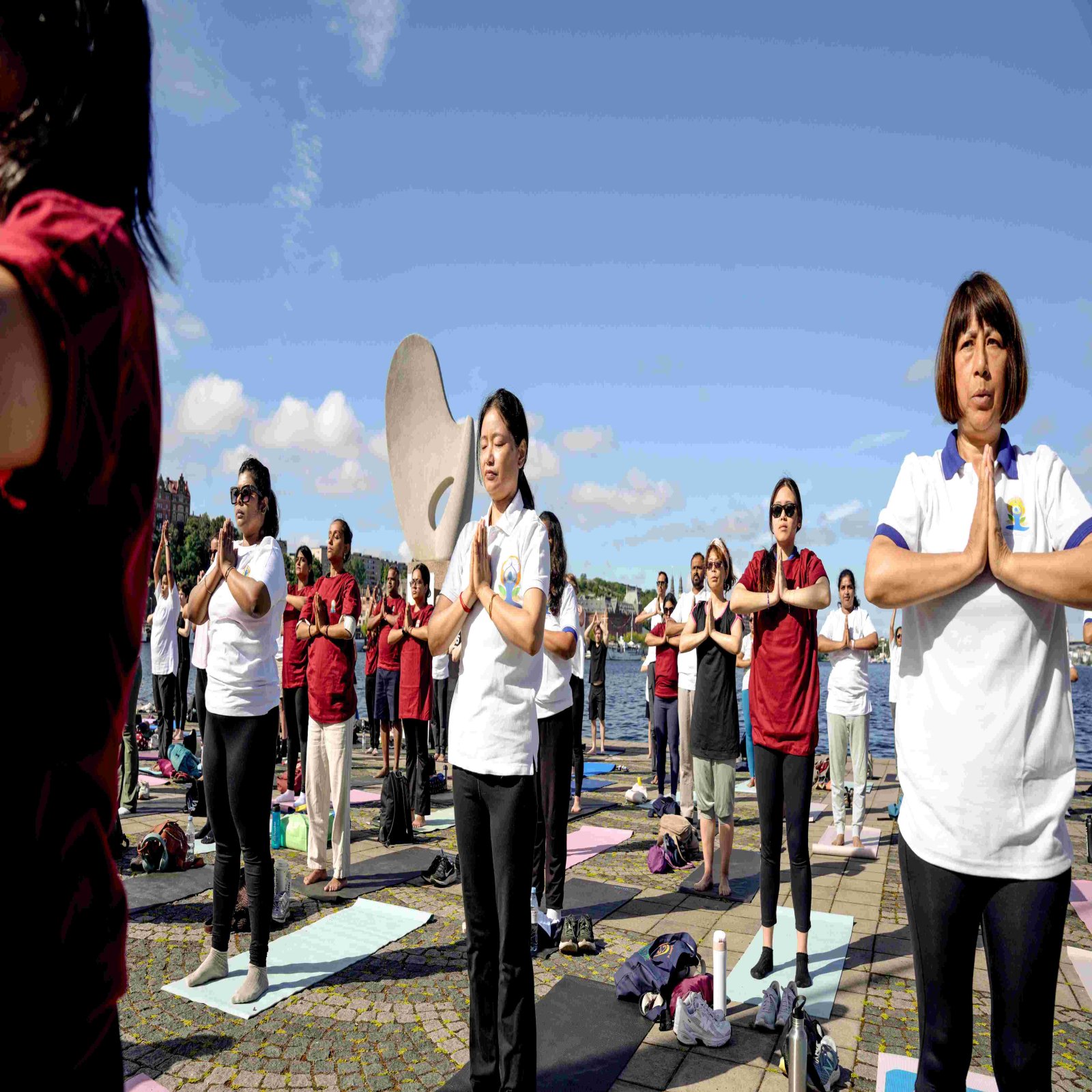 International Day of Yoga celebrations - Stockholm