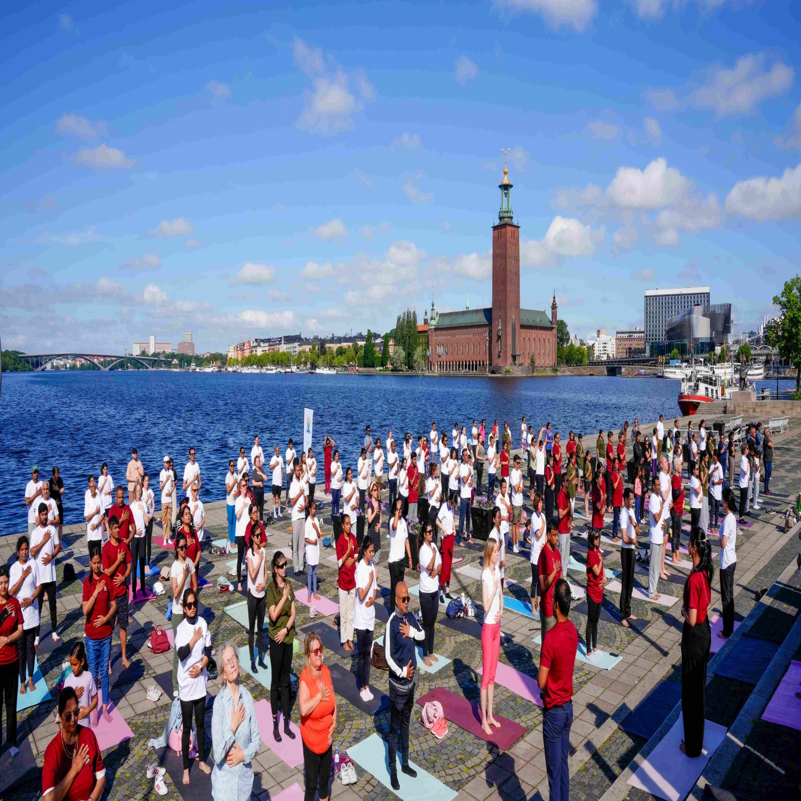 International Day of Yoga celebrations - Stockholm