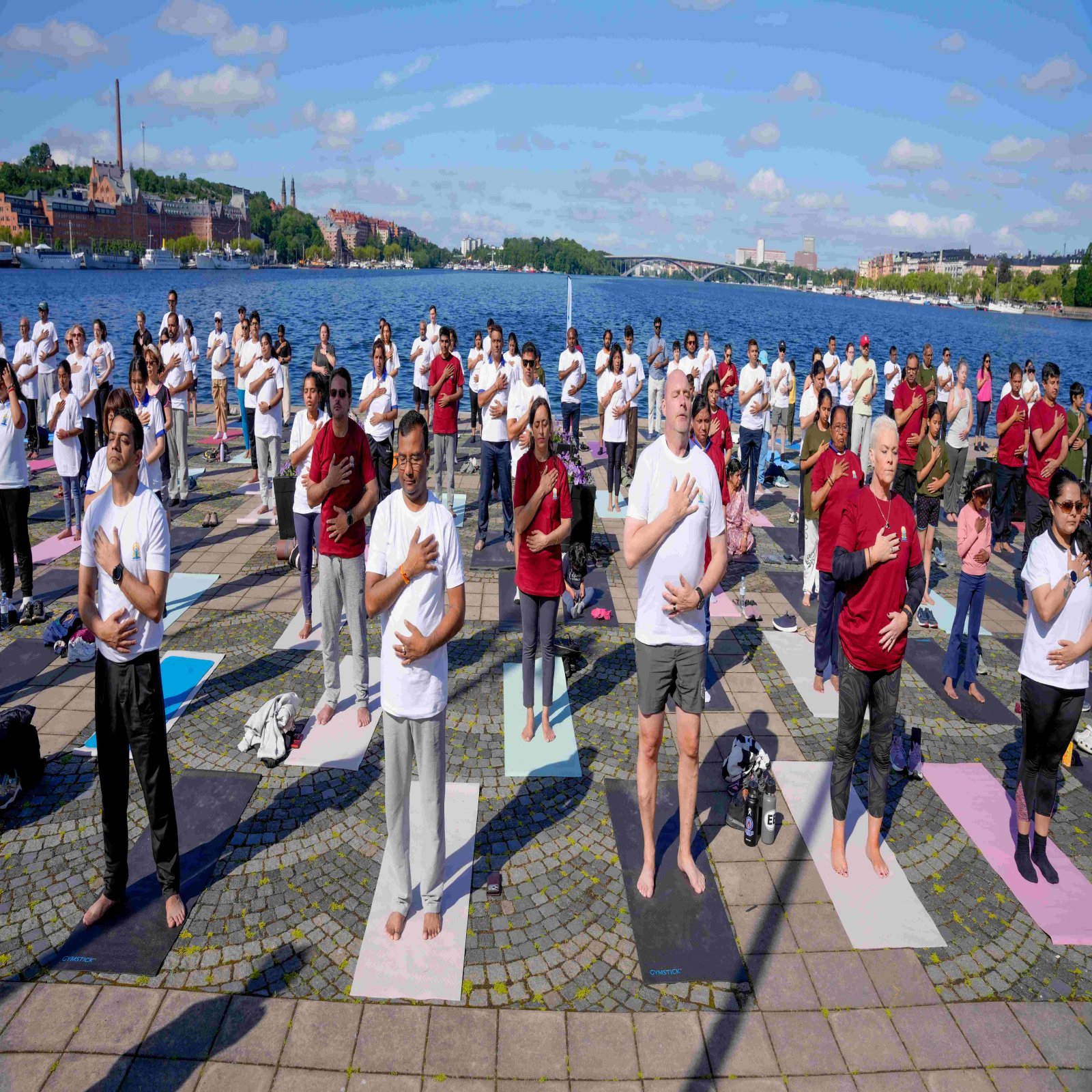 International Day of Yoga celebrations - Stockholm
