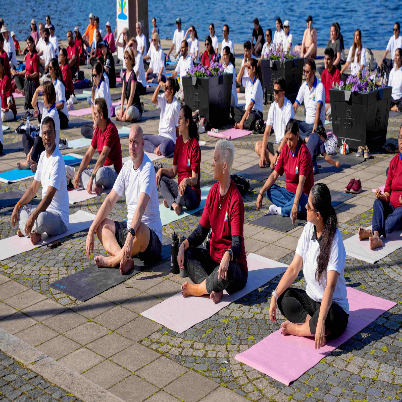 International Day of Yoga celebrations - Stockholm