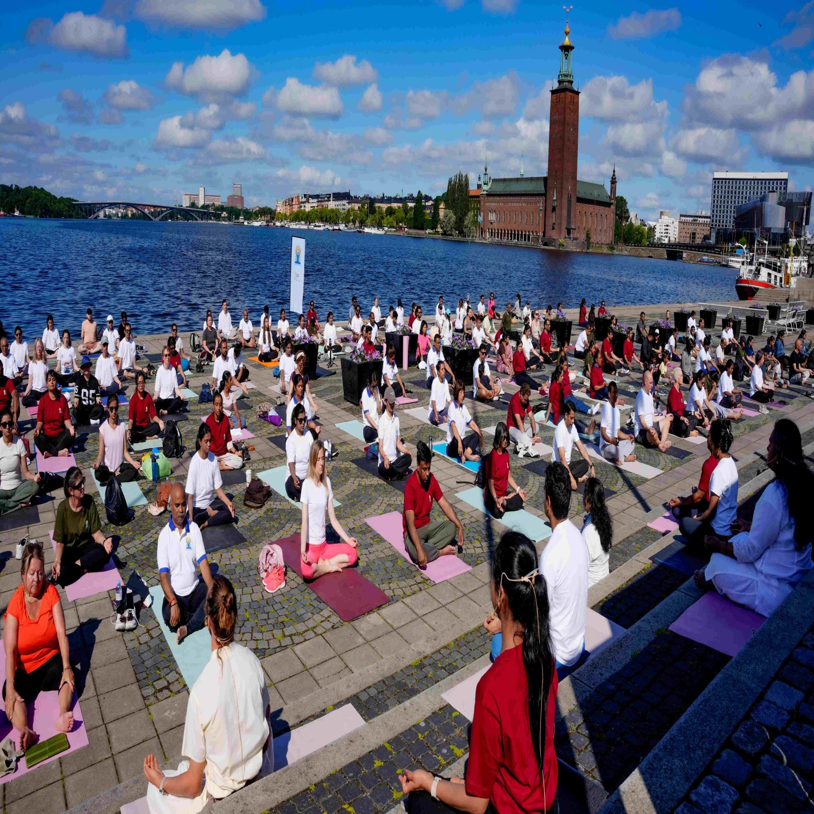 International Day of Yoga celebrations - Stockholm