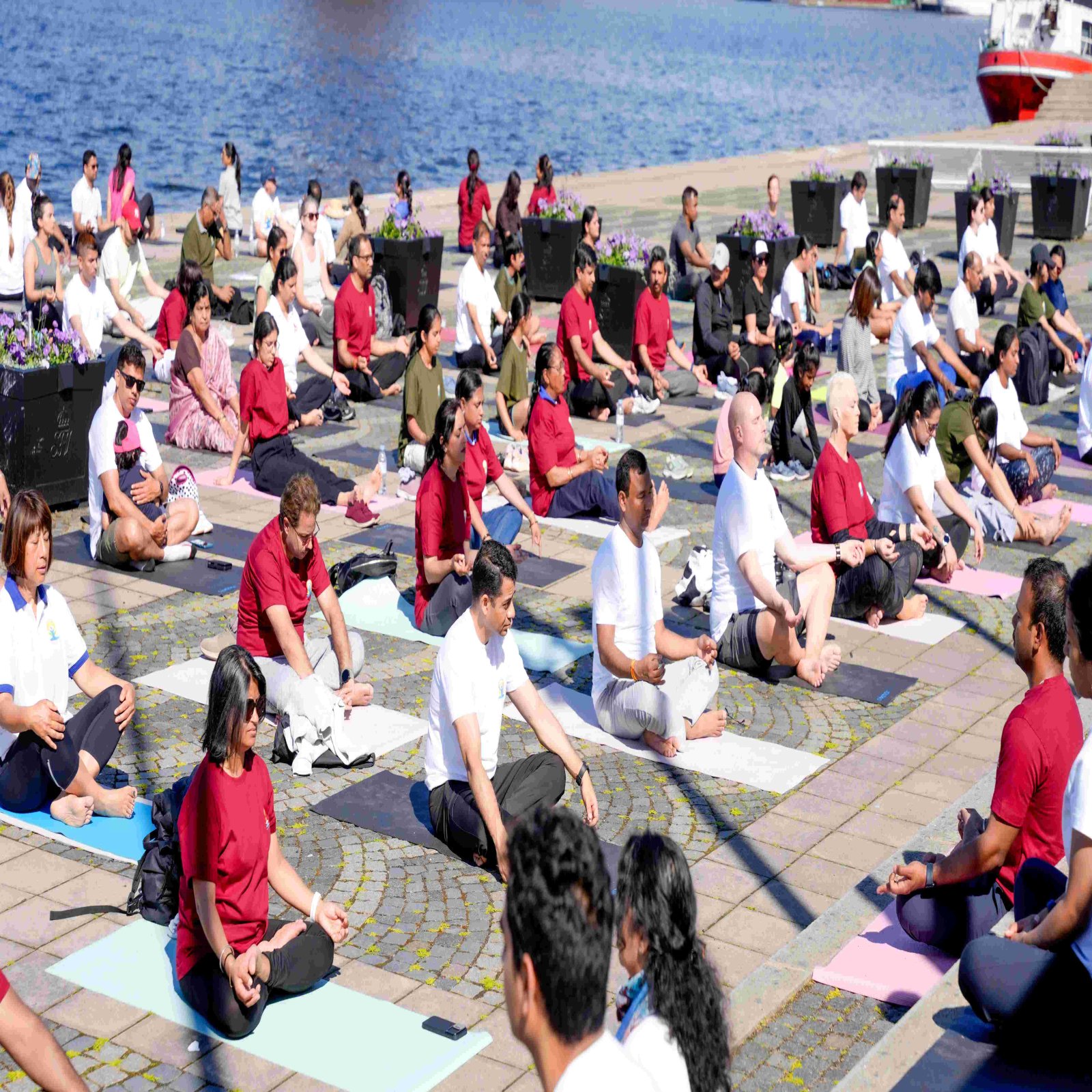 International Day of Yoga celebrations - Stockholm