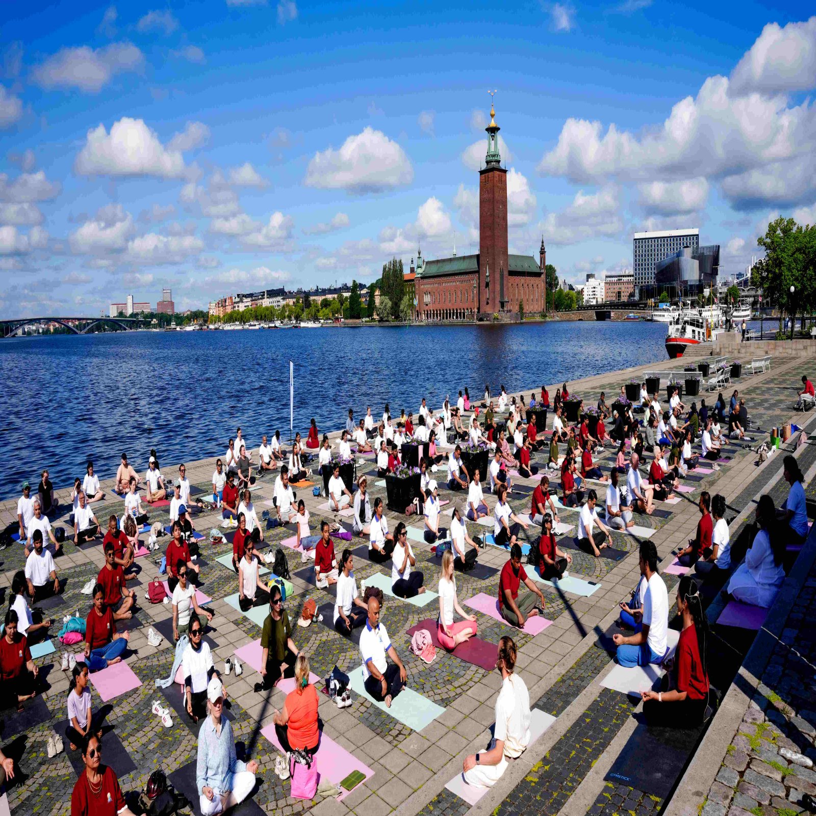 International Day of Yoga celebrations - Stockholm
