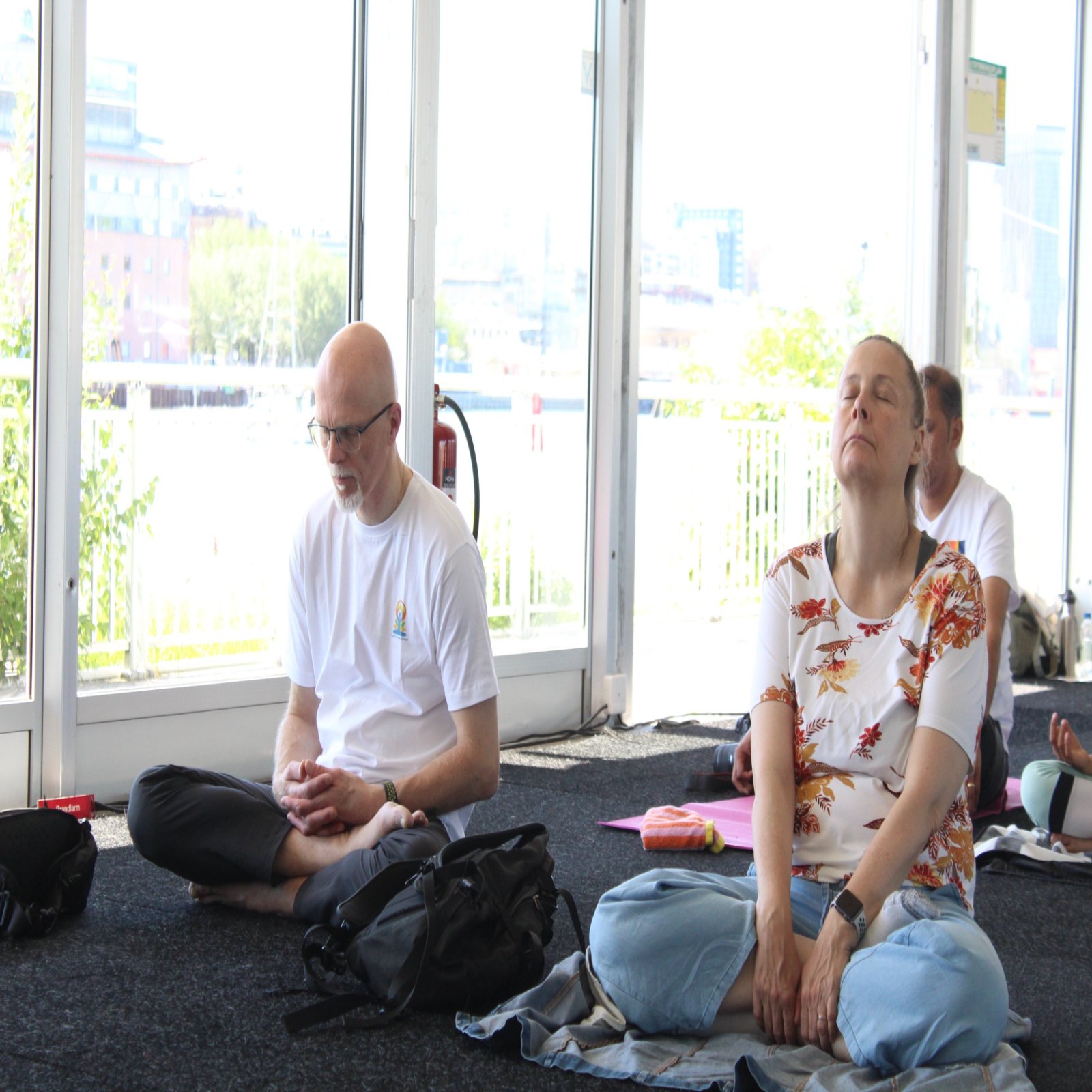 International Day of Yoga celebrations - Gothenburg
