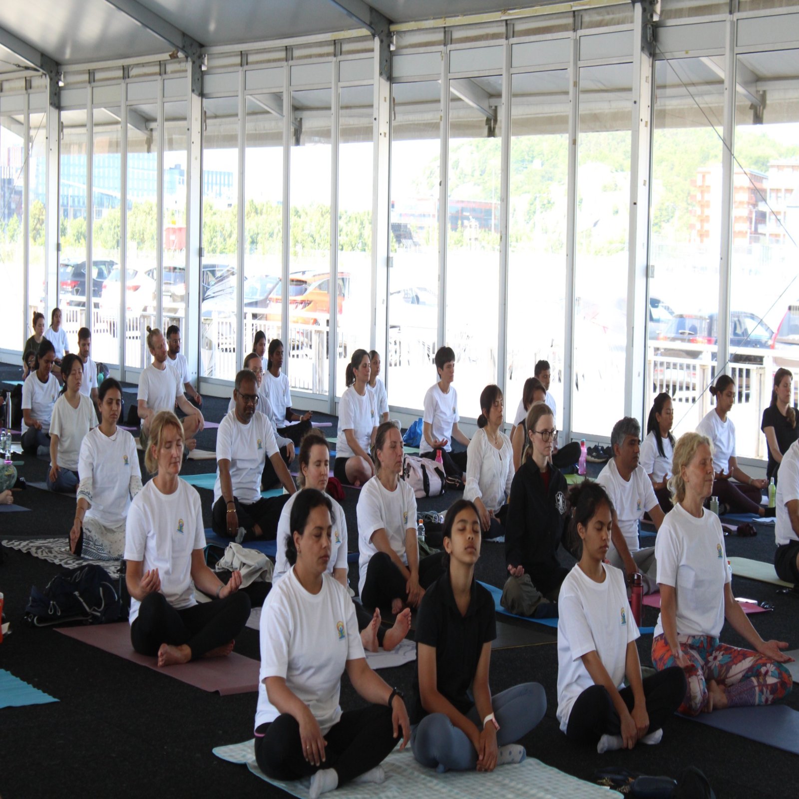 International Day of Yoga celebrations - Gothenburg