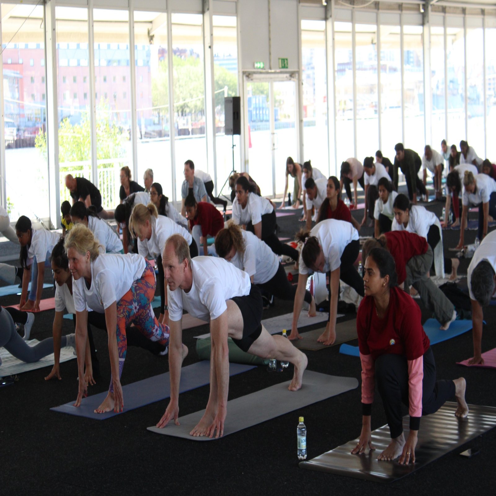 International Day of Yoga celebrations - Gothenburg