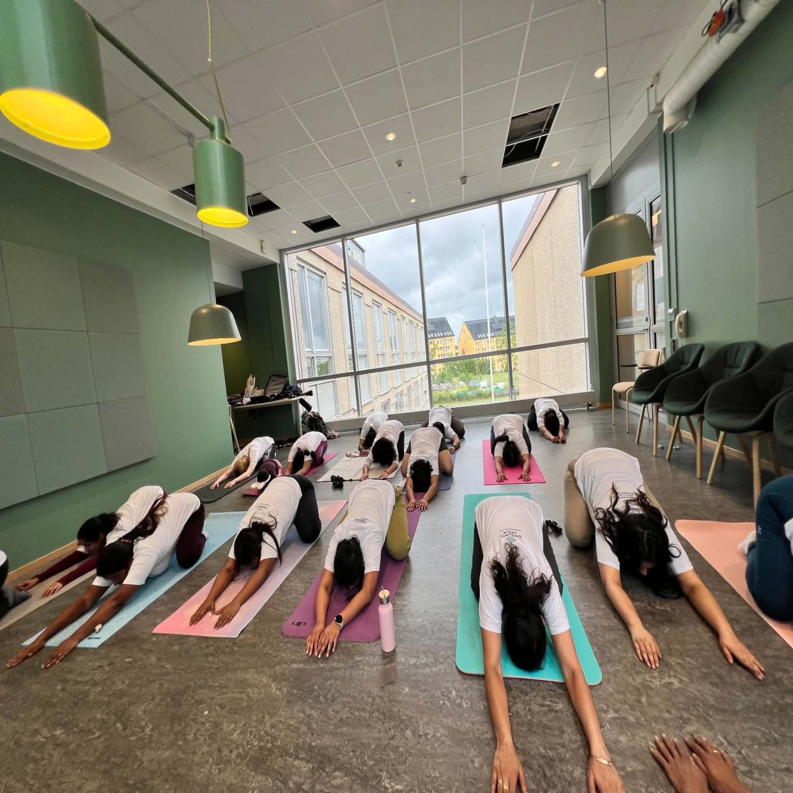 International Day of Yoga celebrations - Uppsala
