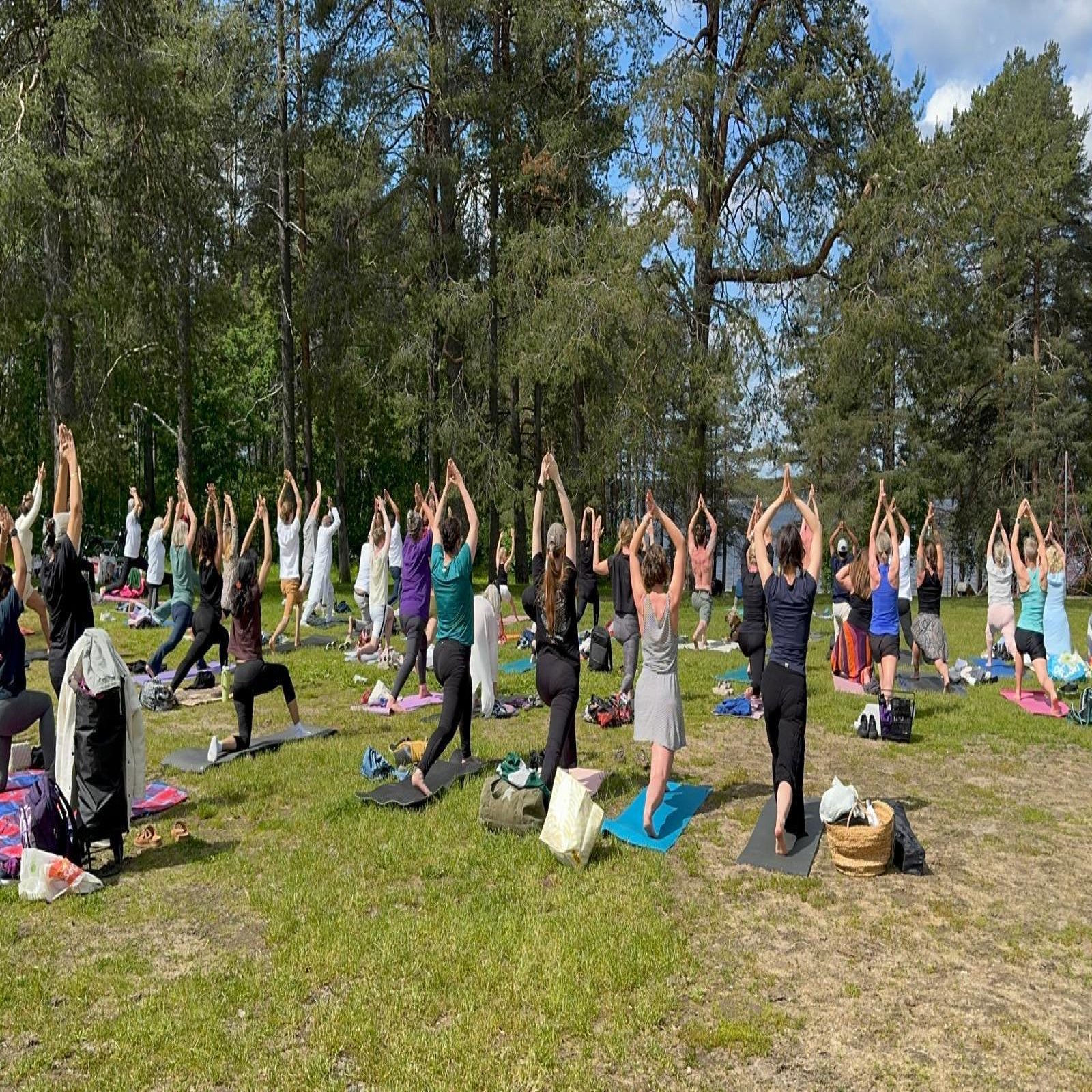 International Day of Yoga celebrations - Luleå