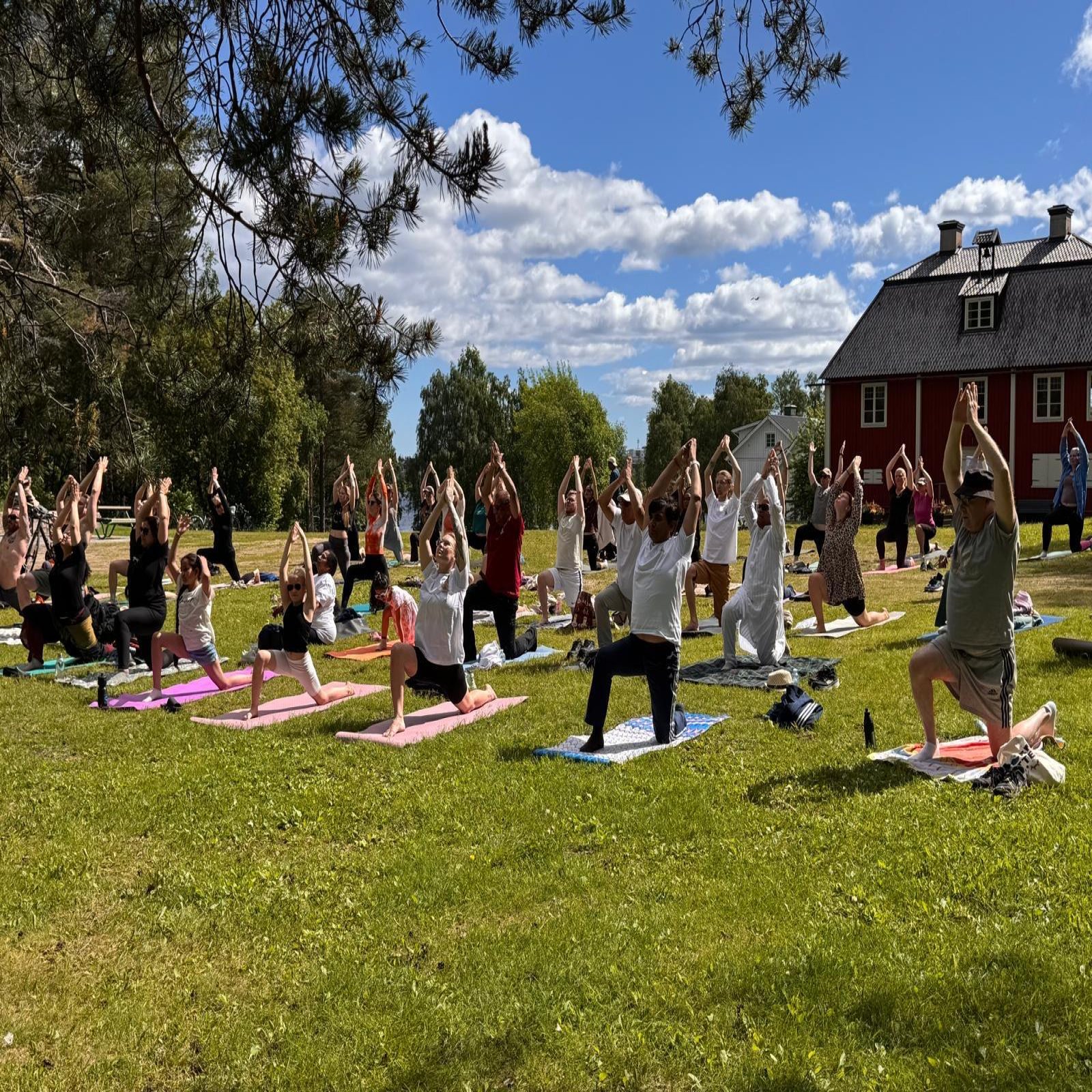 International Day of Yoga celebrations - Luleå