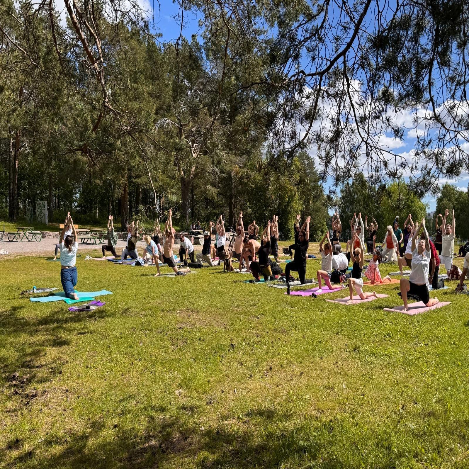 International Day of Yoga celebrations - Luleå