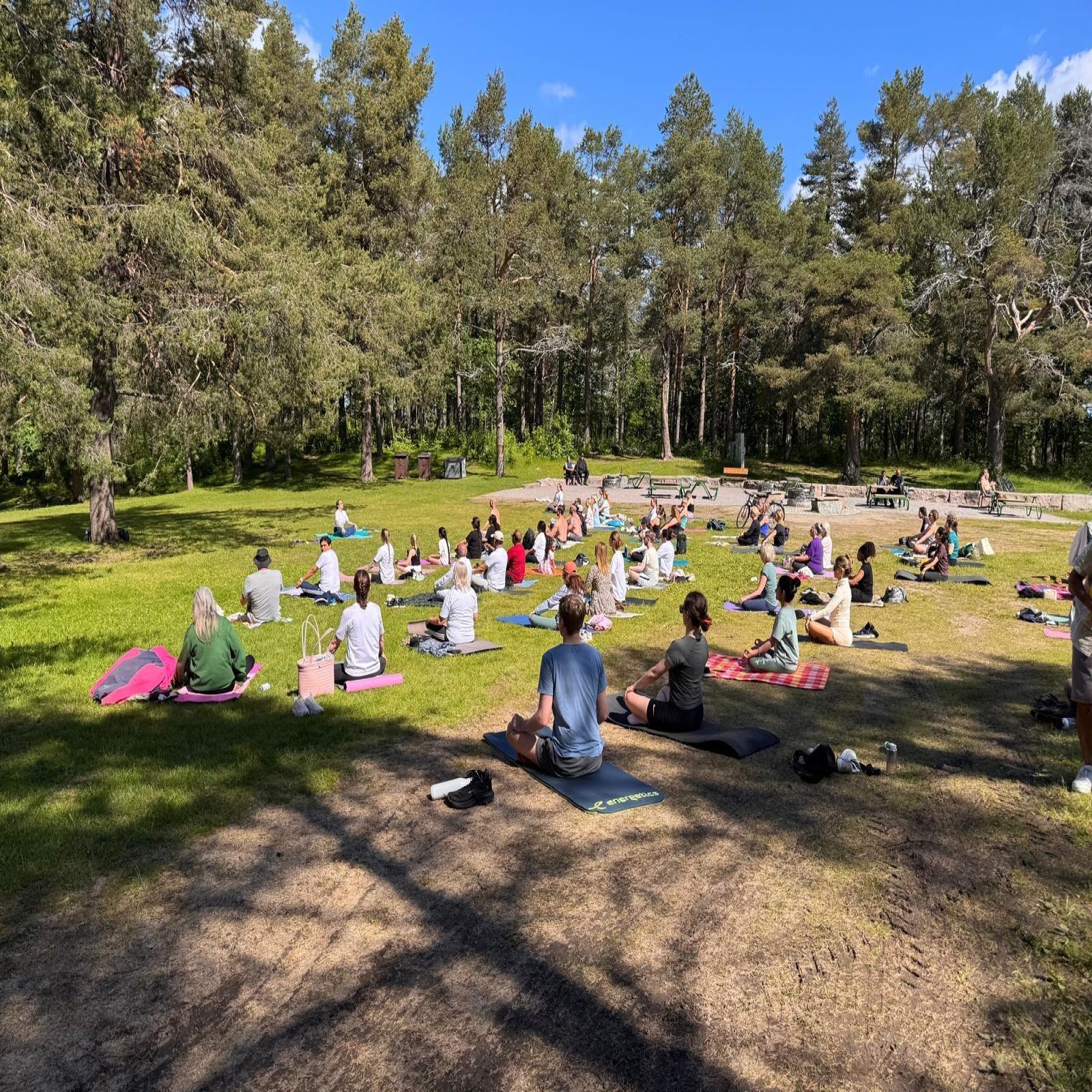 International Day of Yoga celebrations - Luleå