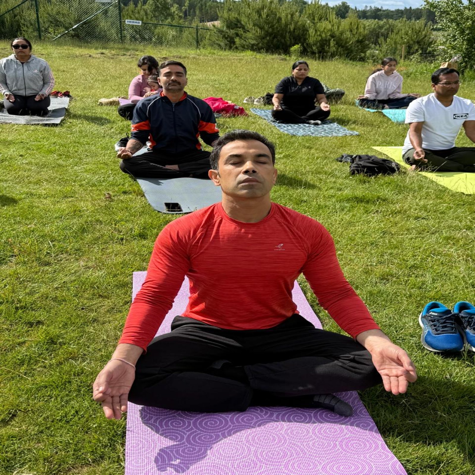 International Day of Yoga celebrations - Älmhult